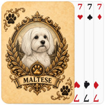 Malteser, Vintage Heritage Dog