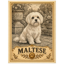 Malteser, Vintage Heritage Hund