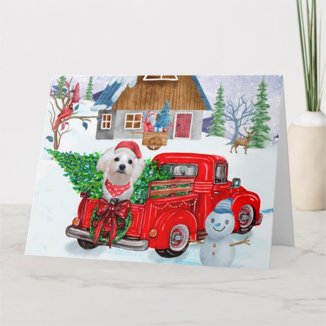 Malteserhund i jul leveransbil snö kort (Framsida)