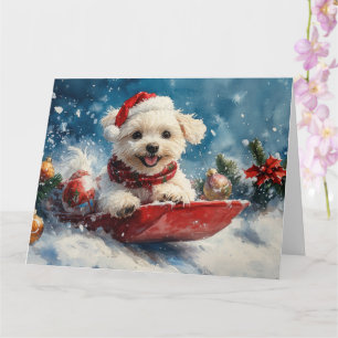 Malteserhund i släde Låt det snöa jul Kort