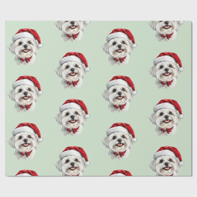 Malteserhund med tomtehatt presentpapper (Platt)