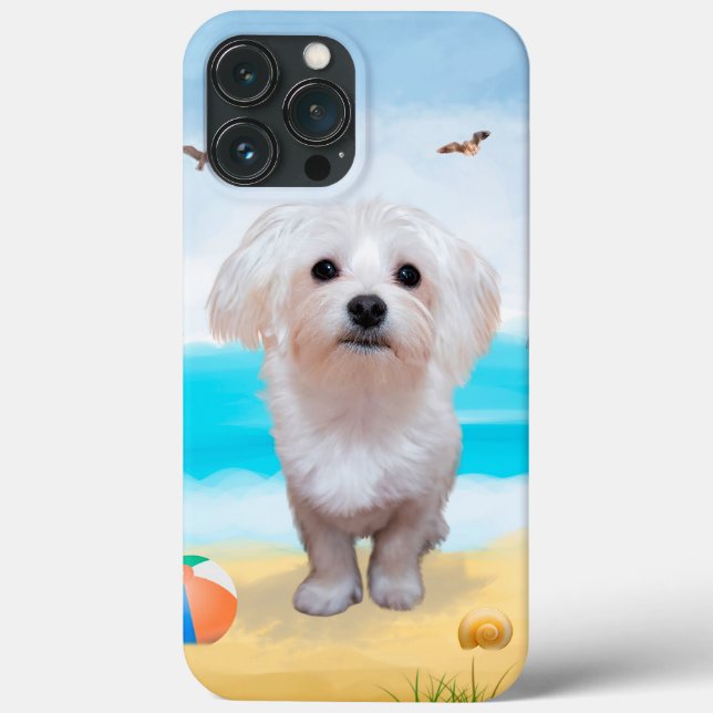 Malteserhund på strand (Baksida)
