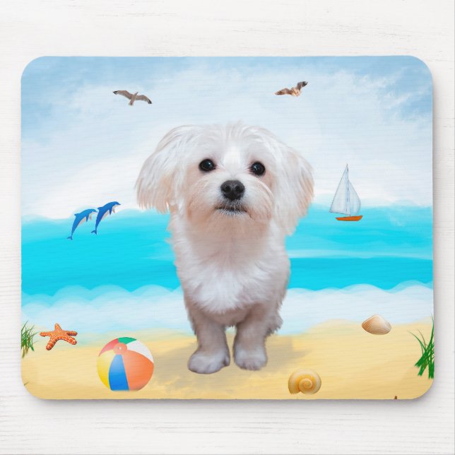 Malteserhund på strand musmatta (Framsidan)