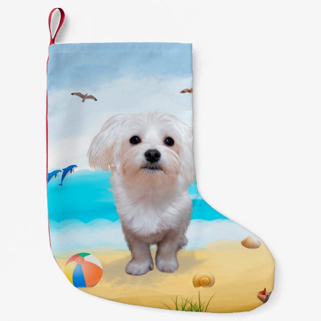 Malteserhund på stranden  liten julstrumpa (Framsidan)