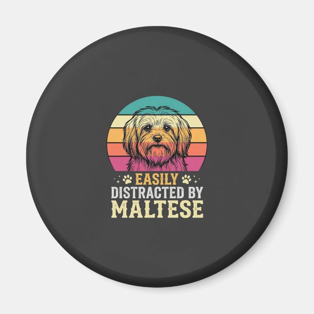 Malteserhund Retro Solnedgång Disträ Magnet (Framsidan)