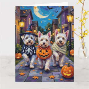 Malteserhundar som söker godis på Halloween-kostym Kort
