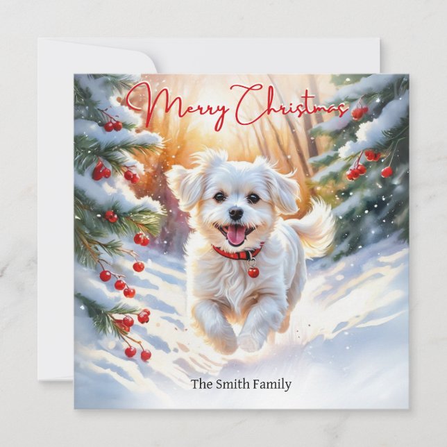 Malteserterrierhund i vinter snö God Jul Julkort (Framsida)