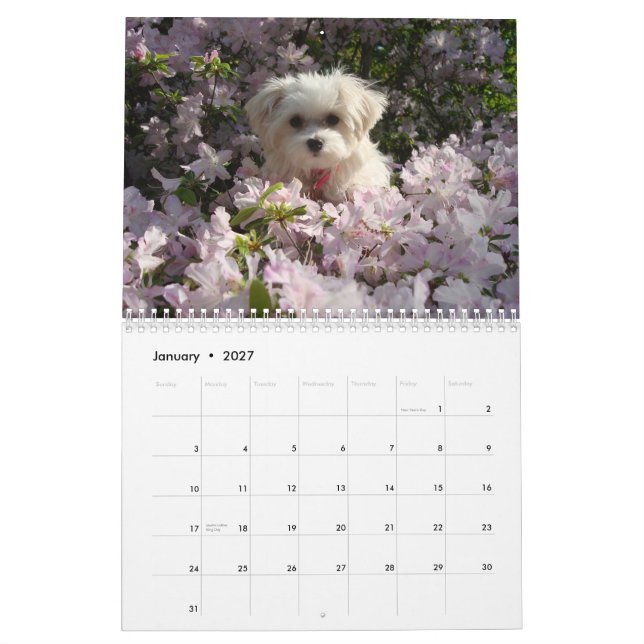 Maltesisk 2010 kalender (Jan 2027)