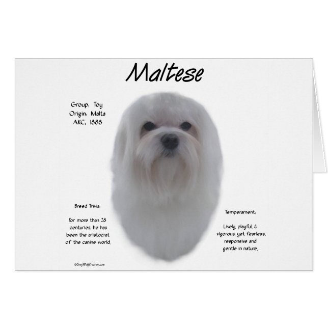 Maltesisk historikdesign hälsningskort (Framsidan Horizontal)