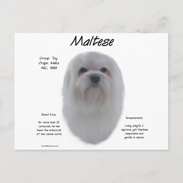 Maltesisk historikdesign vykort (Framsida)