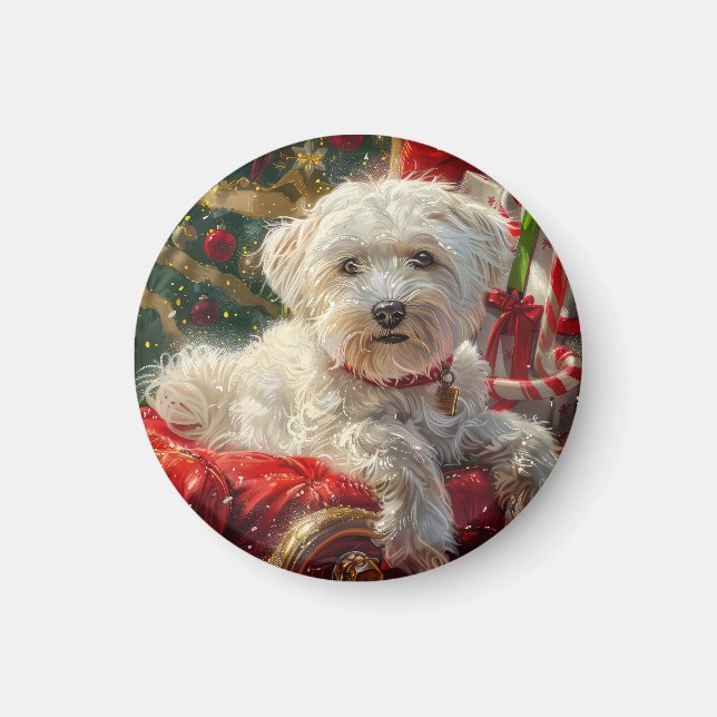 Maltesisk Hund jul Magnet (Framsidan)
