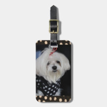 Maltesisk Hund Luggage Tag