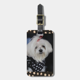 Maltesisk Hund Luggage Tag Bagagebricka