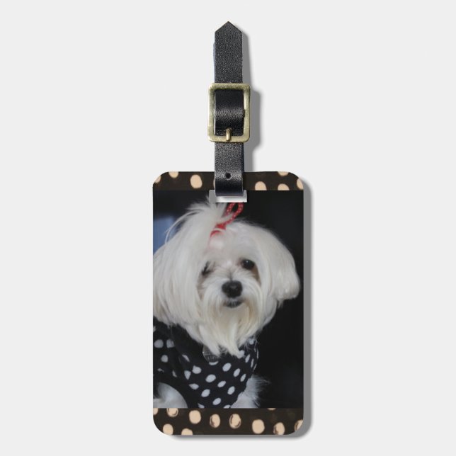 Maltesisk Hund Luggage Tag Bagagebricka (Vertikal Framsida)