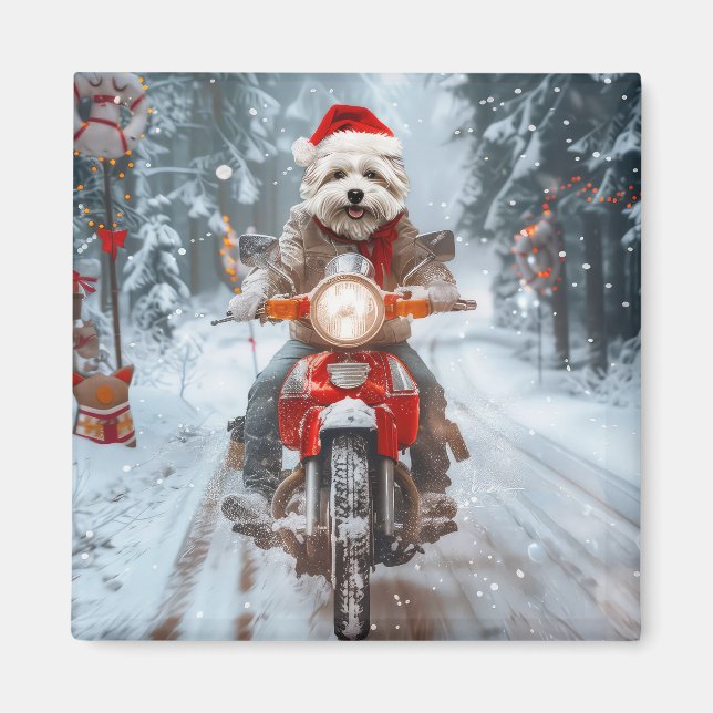 Maltesisk Hund Riding Motorcle jul Magnet (Framsidan)
