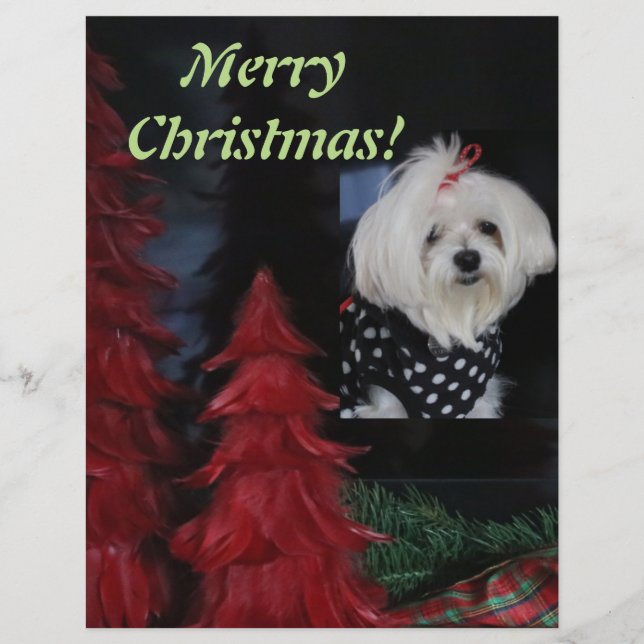 Maltesisk jul brevhuvud (Framsida)