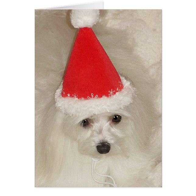 Maltesisk jul hälsningskort (Framsidan)