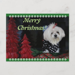 Maltesisk jul helg vykort