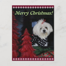 Maltesisk jul helg vykort