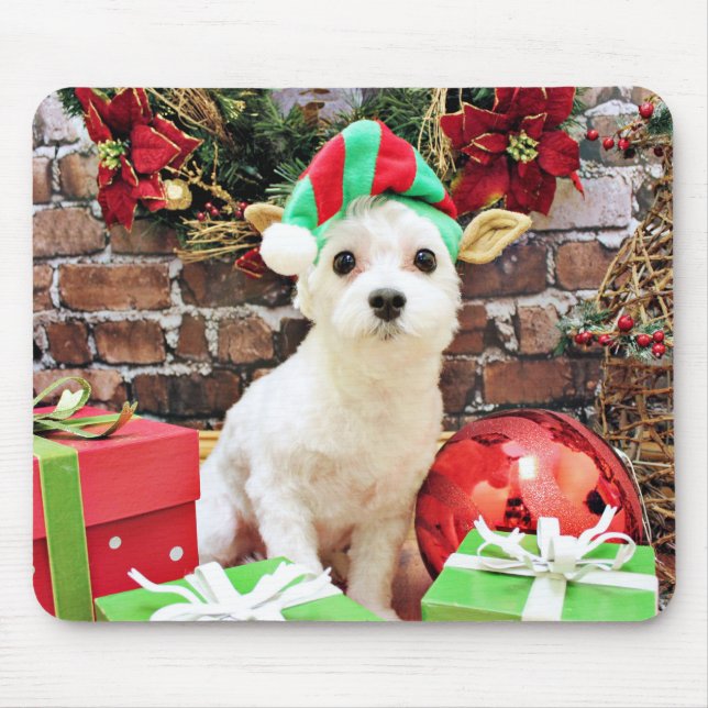 Maltesisk jul - - Quinn Musmatta (Framsidan)