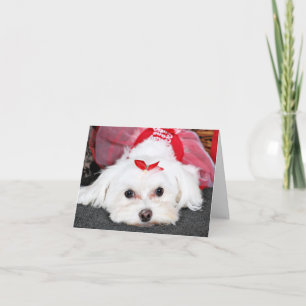 Maltesisk jul - Tinkerbell - Helgkort