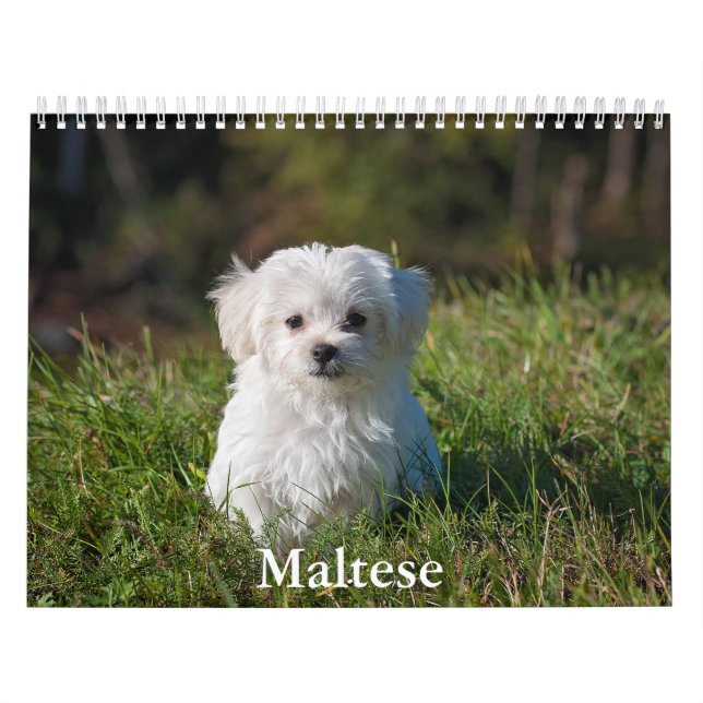 Maltesisk kalender (Omslag)