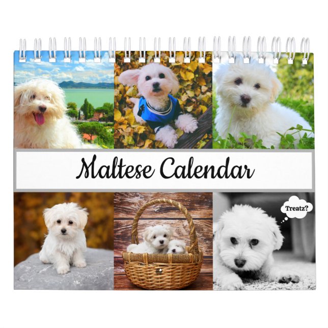 Maltesisk kalender (Omslag)