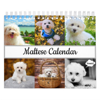 Maltesisk kalender