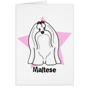 Maltesisk Kawaii stjärna Hälsningskort