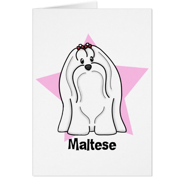 Maltesisk Kawaii stjärna Hälsningskort (Framsidan)