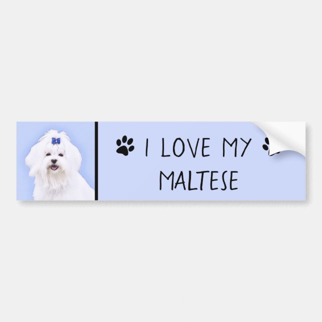 Maltesisk målning - Cute Original Hund Art Bildekal (Framsidan)