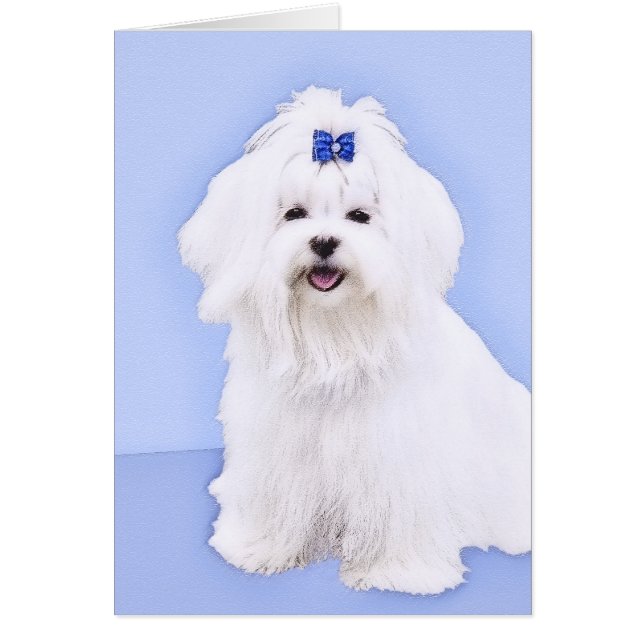 Maltesisk målning - Cute Original Hund Art Hälsningskort (Framsidan)