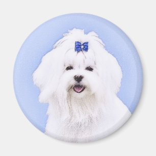 Maltesisk målning - Cute Original Hund Art Magnet