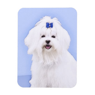 Maltesisk målning - Cute Original Hund Art Magnet