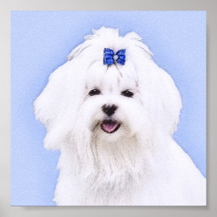Maltesisk målning - Cute Original Hund Art Poster