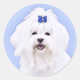 Maltesisk målning - Cute Original Hund Art Runt Klistermärke