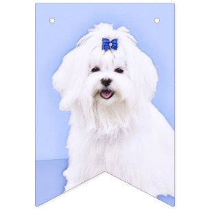Maltesisk målning - Cute Original Hund Art Vimplar