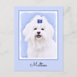 Maltesisk målning - Cute Original Hund Art Vykort