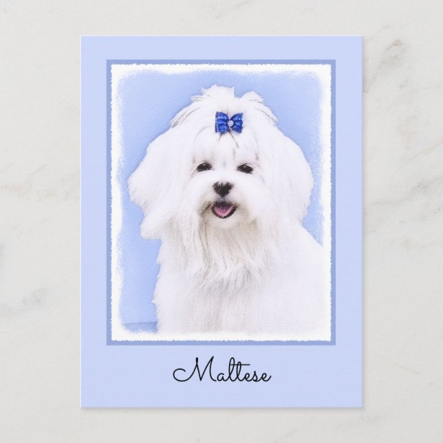 Maltesisk målning - Cute Original Hund Art Vykort (Framsida)