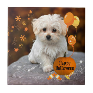 Maltesisk marionett, Halloween Firande Kakelplatta