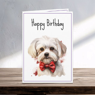 Maltesisk marionett Hund Birthday Kort