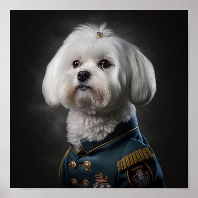 Maltesisk marionett Hund Finare militäriska Porträ Poster (Framsidan)