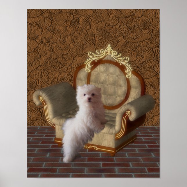Maltesisk marionett på Hund Art Poster (Framsidan)