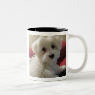 Maltesisk mugg - som är lätt att personifiera!