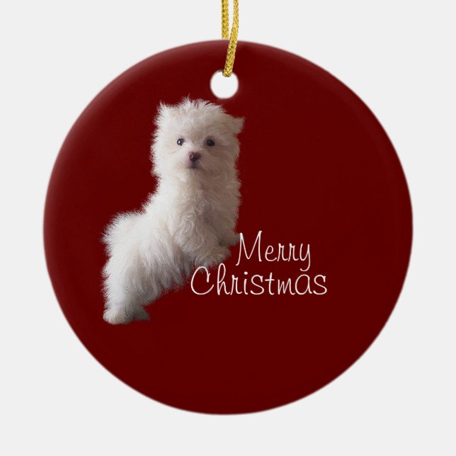 Maltesisk puppy Red Ornament (Framsidan)
