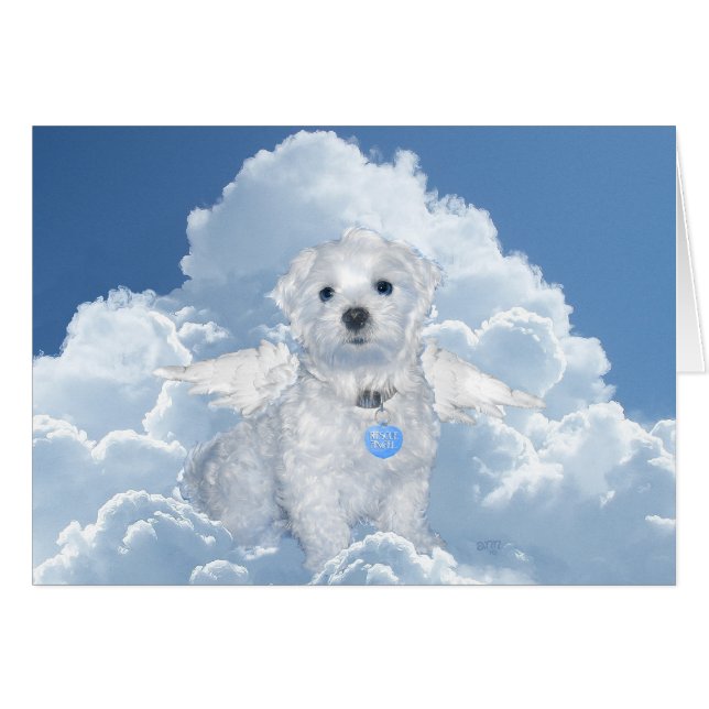 Maltesisk Rädding Angel Hälsningskort (Framsidan Horizontal)