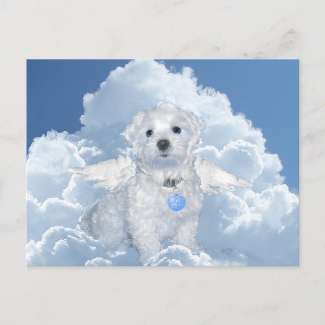 Maltesisk Rädding Angel Vykort (Framsida)