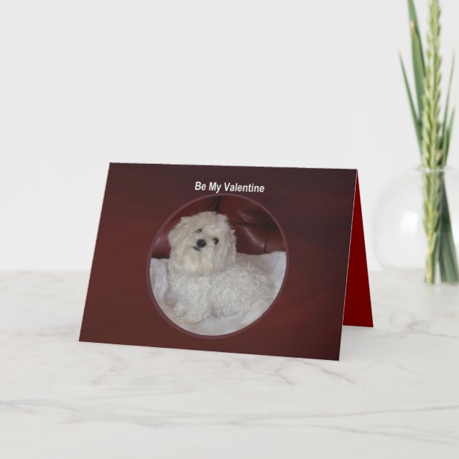 Maltesisk valentin - du har mitt hjärtakort helgkort (Framsida)