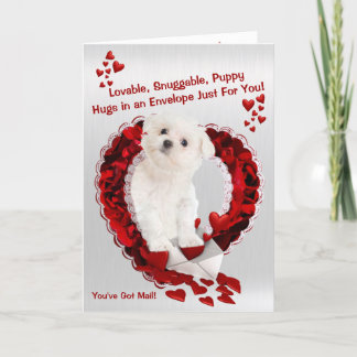 Maltesisk valp - Toppen Cute Du har Har Mail! Helgkort