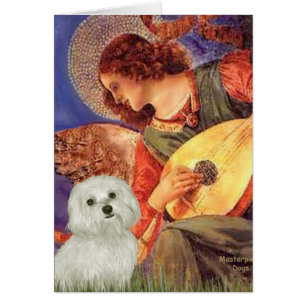 Maltesiska 11 - Mandolin Angel Hälsningskort